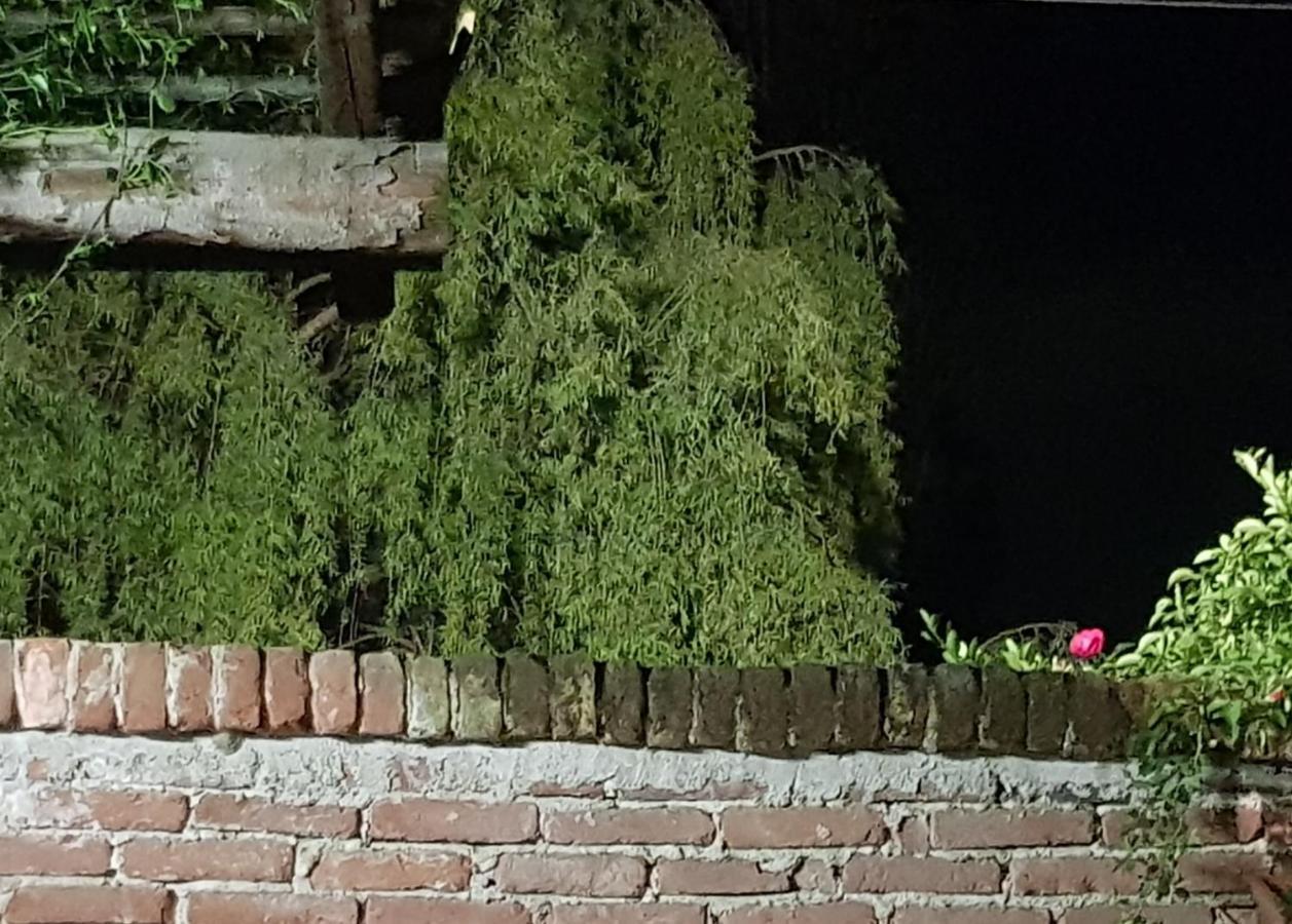 Az.Agr.Cascina Moretta Momo Exterior foto