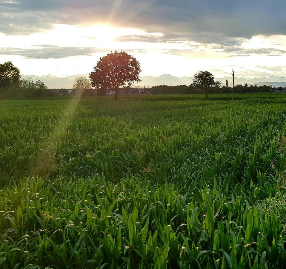 Az.Agr.Cascina Moretta Momo Exterior foto